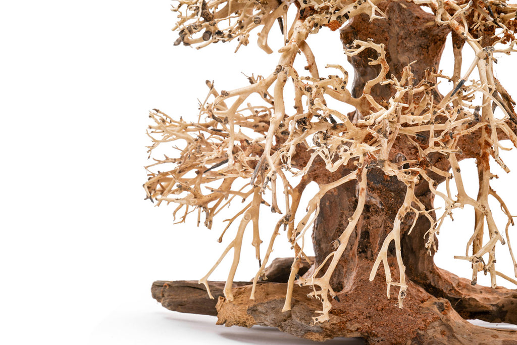 Ultum Nature Systems UNS Bonsai Tree Driftwood Aquarium Hardscape Wood 002