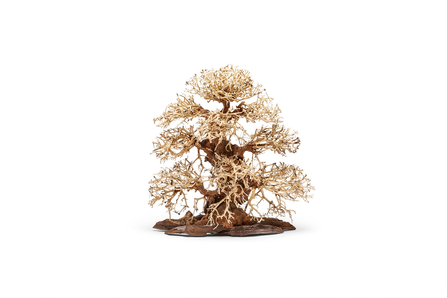 Ultum Nature Systems UNS Bonsai Tree Driftwood Aquarium Hardscape Wood 002