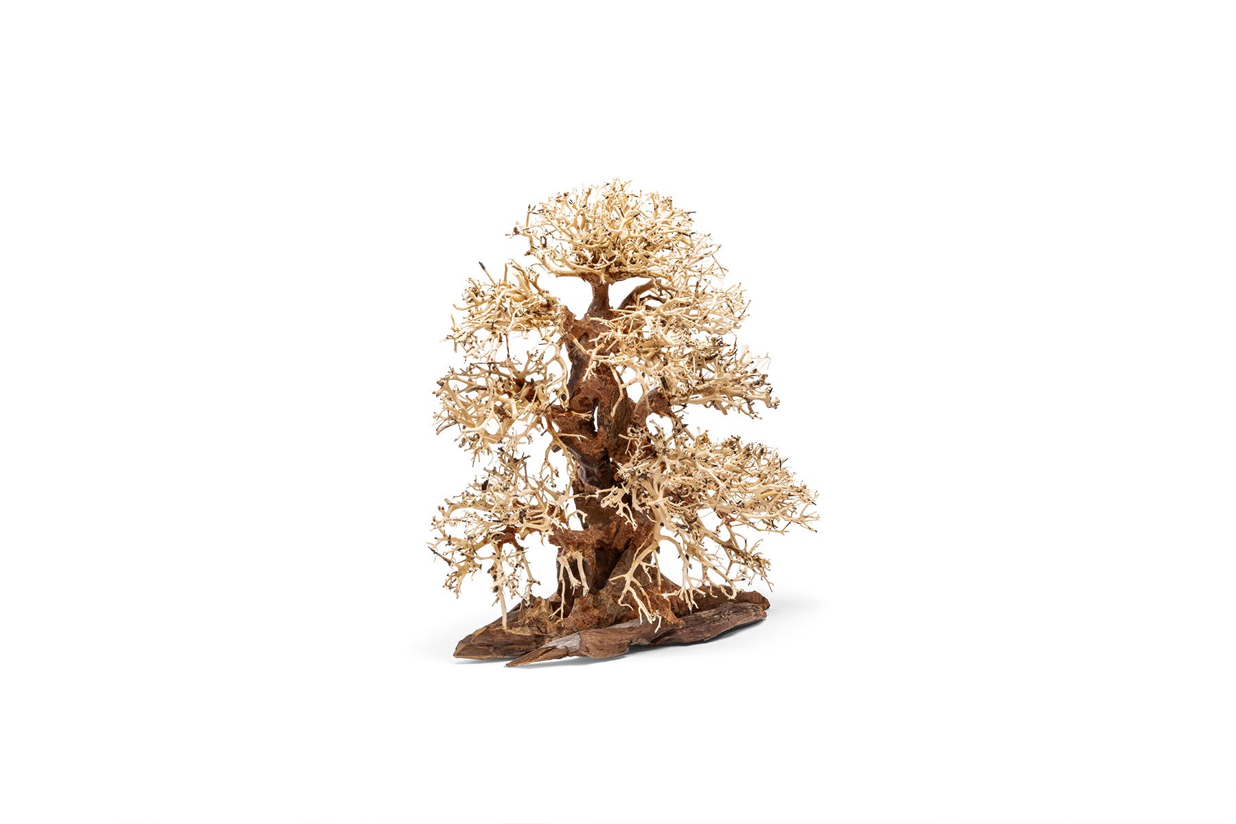 Ultum Nature Systems UNS Bonsai Tree Driftwood Aquarium Hardscape Wood 002