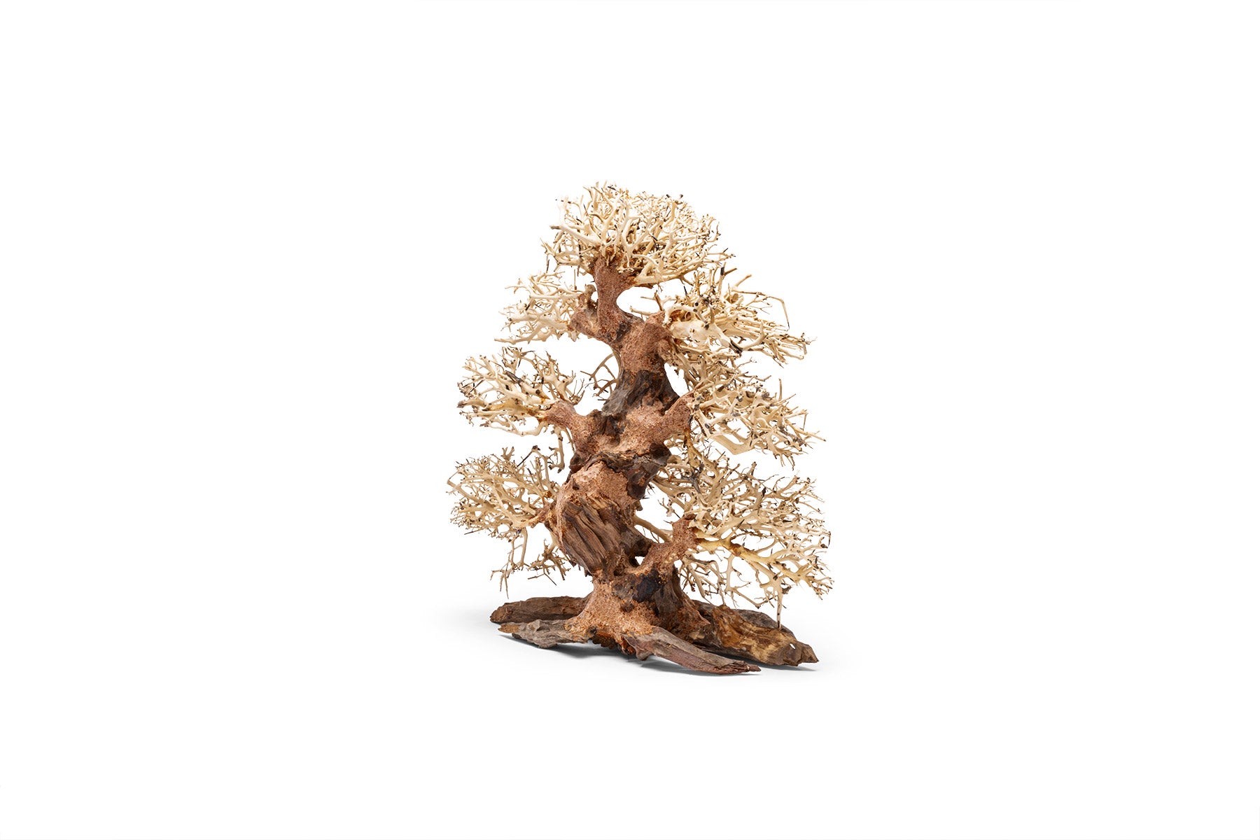Ultum Nature Systems UNS Bonsai Tree Driftwood Aquarium Hardscape Wood 002