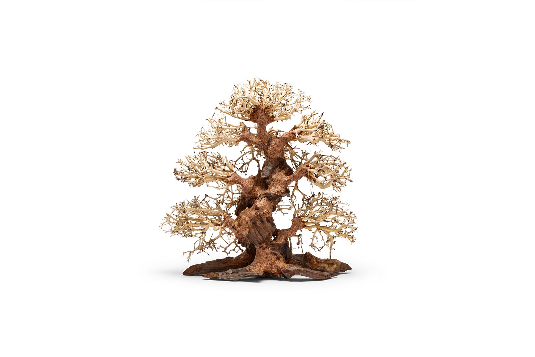 Ultum Nature Systems UNS Bonsai Tree Driftwood Aquarium Hardscape Wood 002