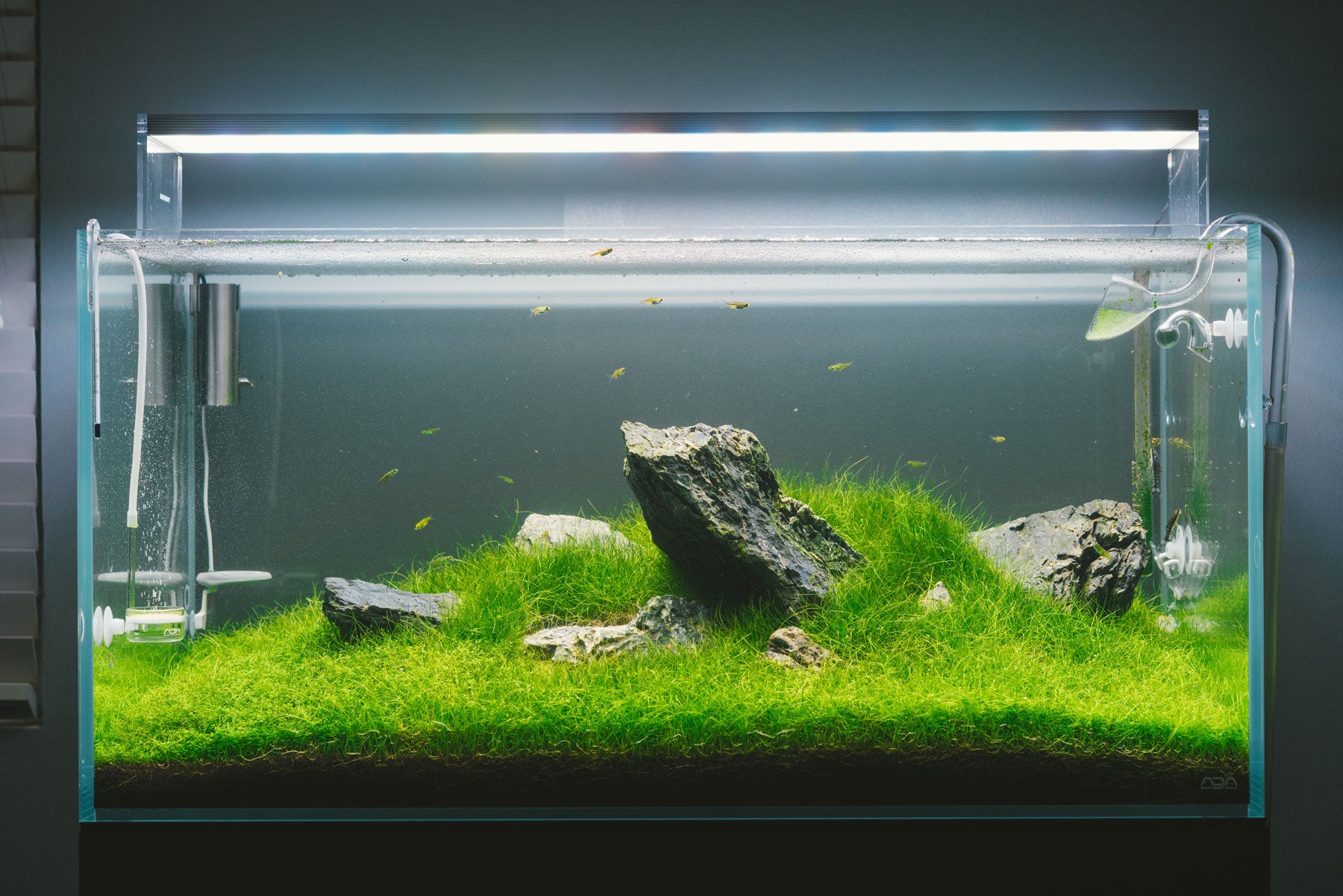 Jagged Mountain - ADA 90P Aquarium | Glass Aqua