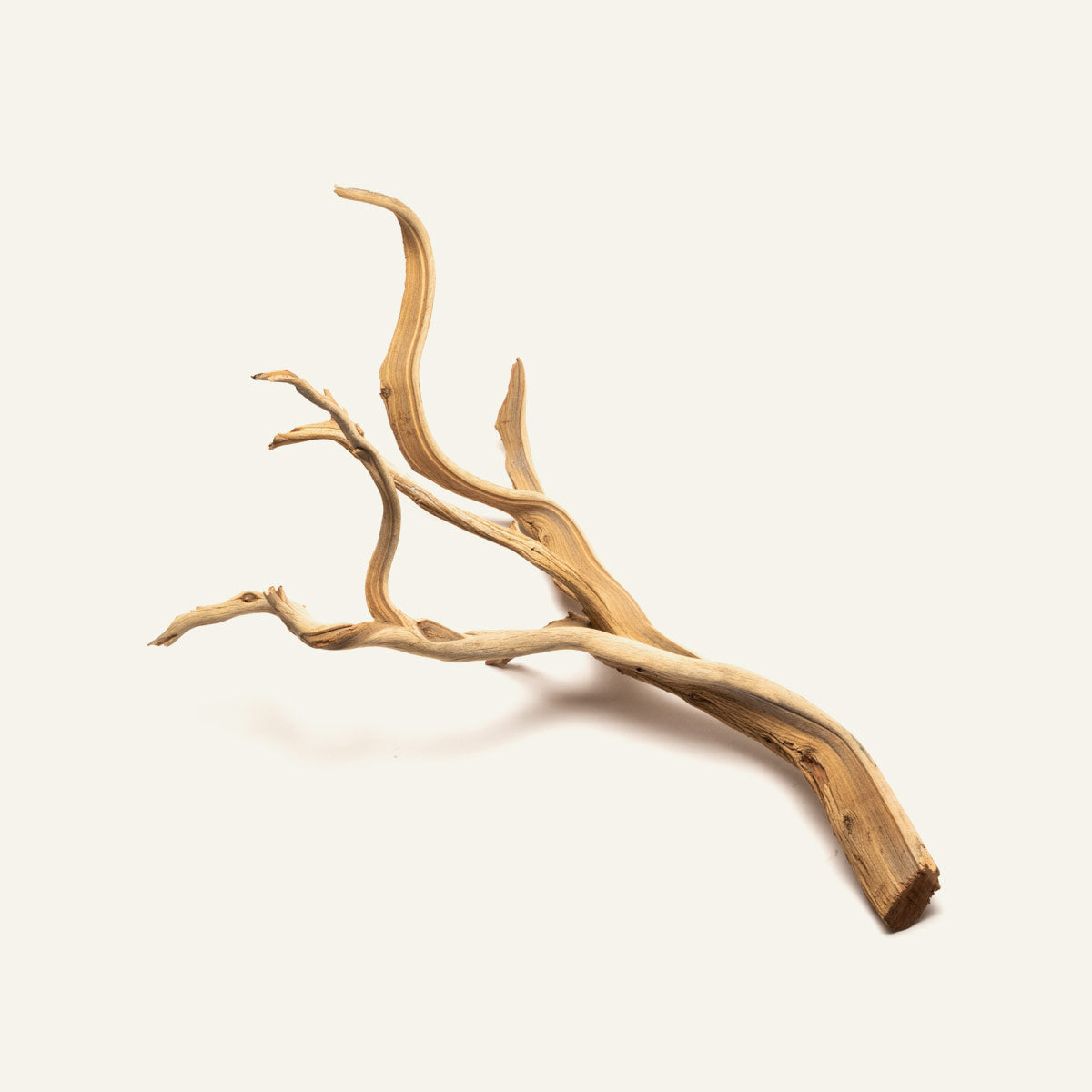 Ghost Wood Driftwood for Planted Aquarium Tank, Terrarium and Vivarium