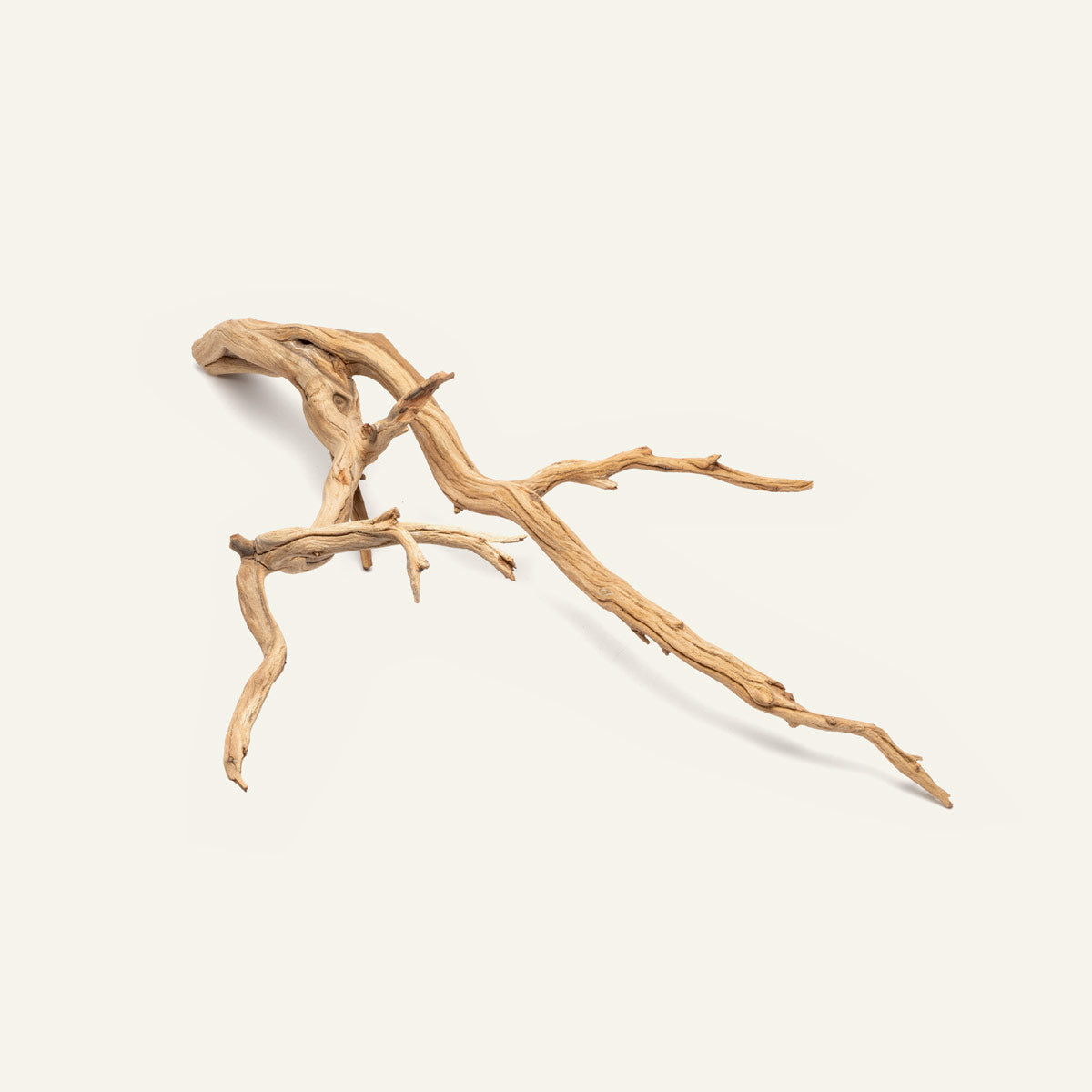 Ghost Wood Driftwood for Planted Aquarium Tank, Terrarium and Vivarium