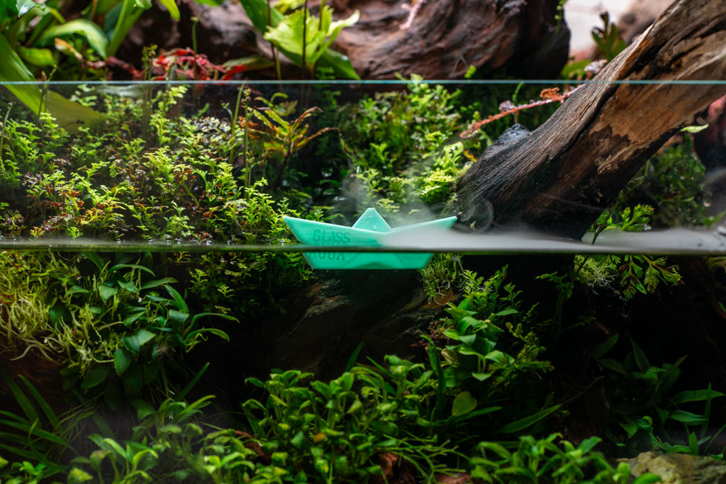 Glass Aqua Boat - Glass Aqua