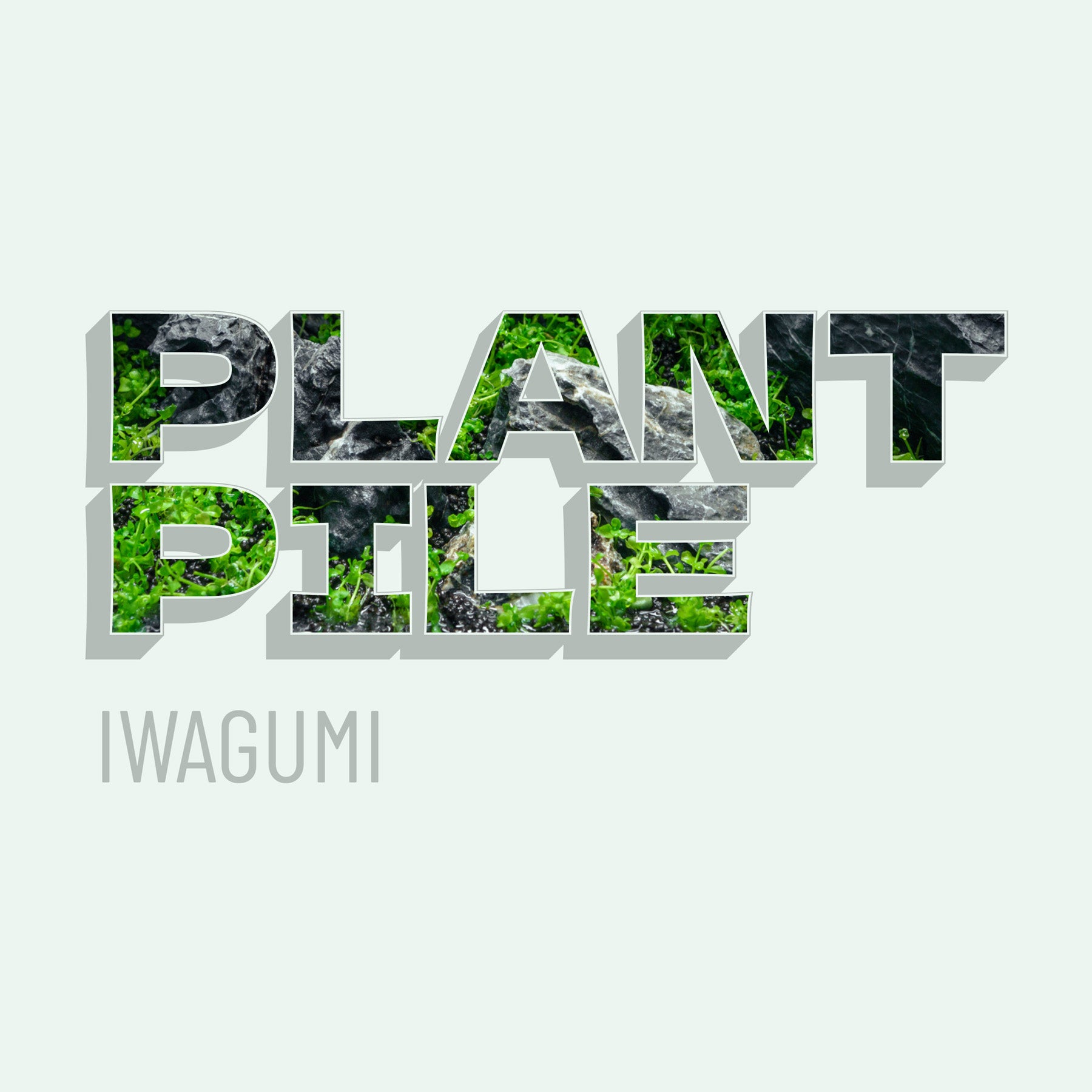 Planted Aquarium Tank Foreground Live Aquatic Plant Pile Value Pack Bundle For Iwagumi Aquascapes - Glass Aqua