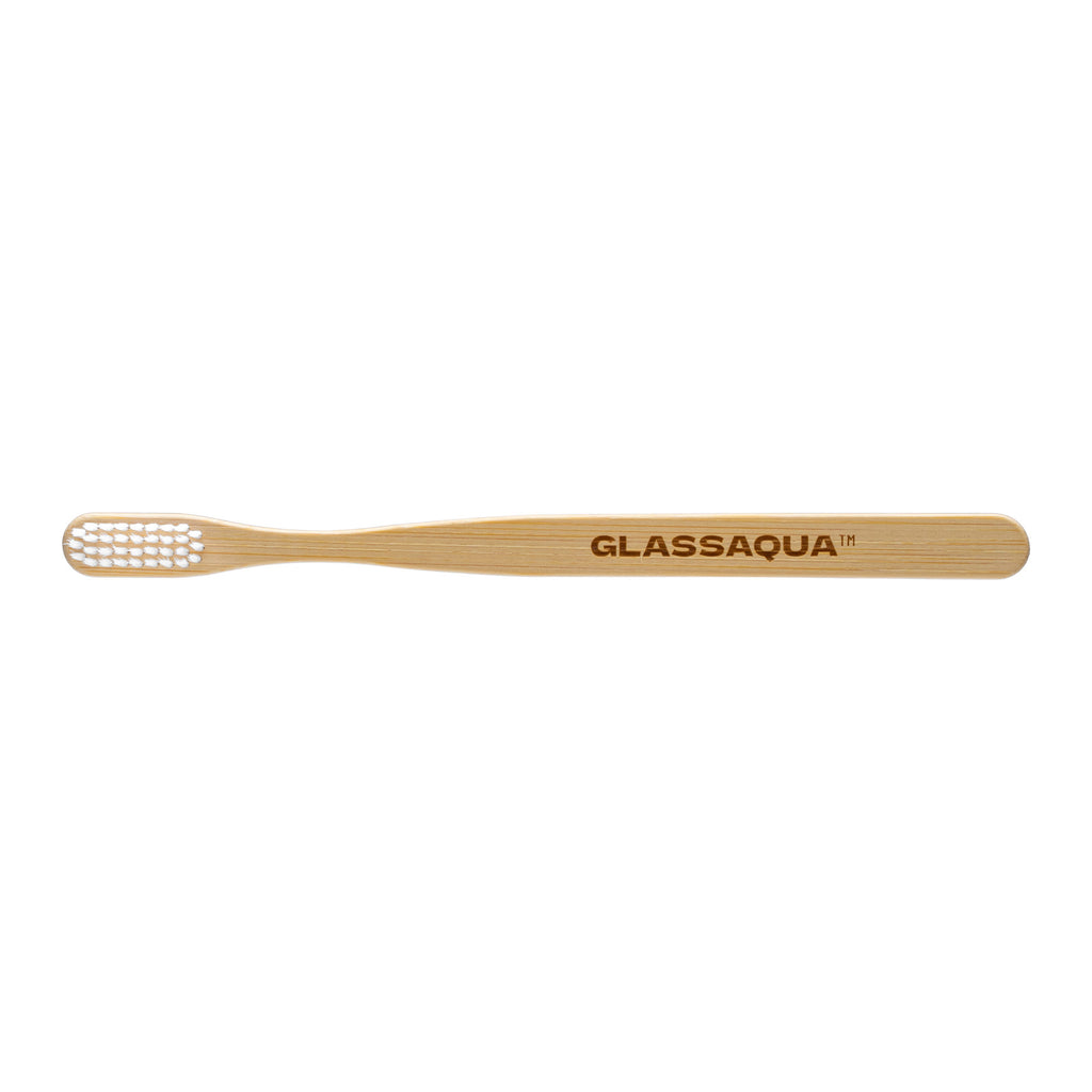 Glass Aqua Aquarium Maintenance Brush