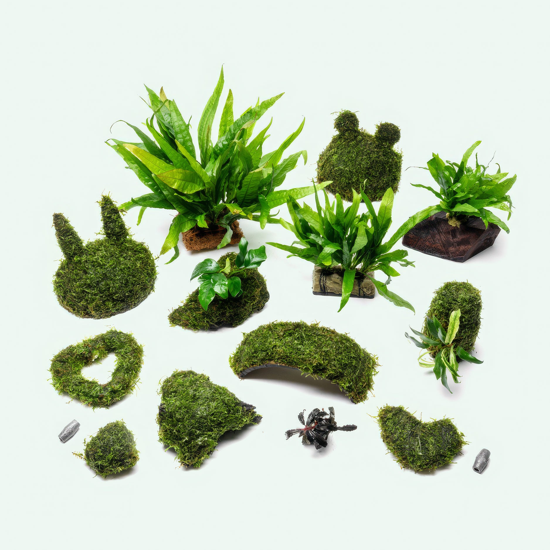 Assorted Plant Decor Bundle