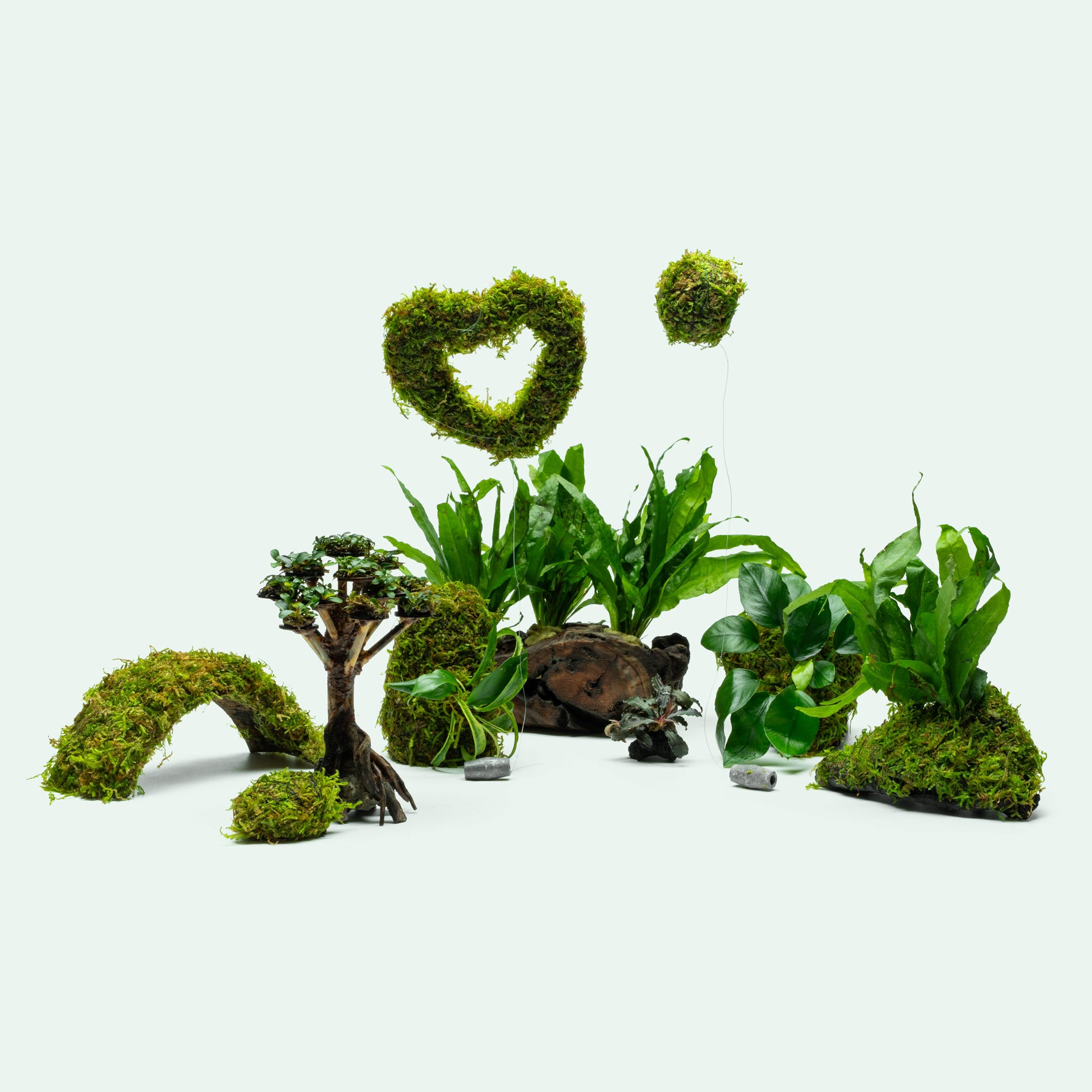 Glass Aqua Aquarium Plant Natural Decor