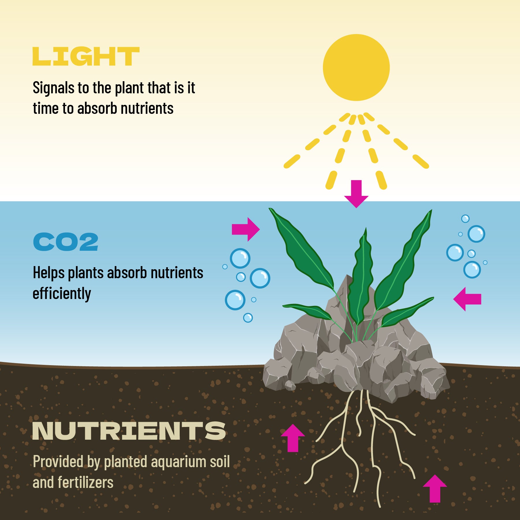 Pro CO2 Kit - Planted Tank CO2 System | Glass Aqua