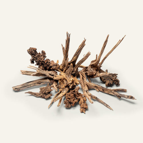 Nano horn wood for aquascaping and planted aquariums