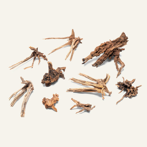 Nano horn wood for aquascaping and planted aquariums