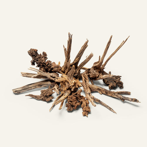 Nano horn wood for aquascaping and planted aquariums