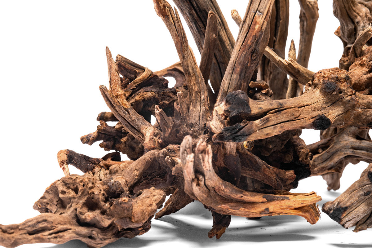 Detail shot of nano horn wood for aquascaping and planted aquariums