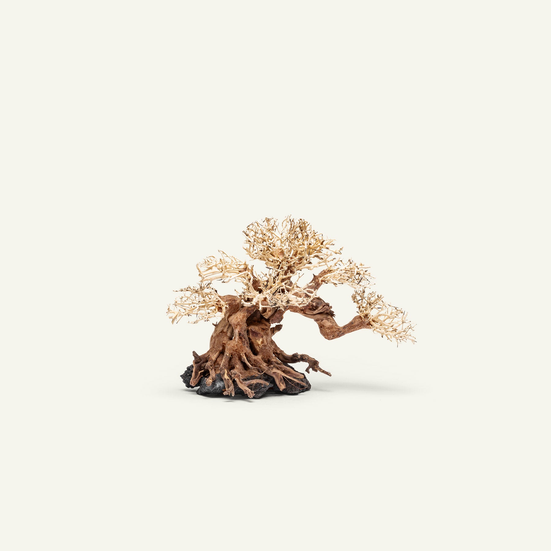 Ultum Nature Systems UNS Bonsai Tree Driftwood Aquarium Hardscape Wood 014