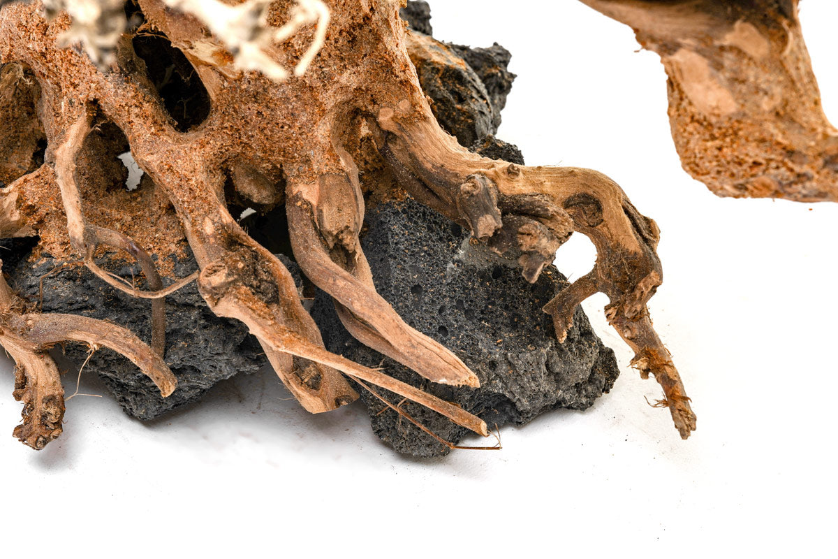 Ultum Nature Systems UNS Bonsai Tree Driftwood Aquarium Hardscape Wood 014