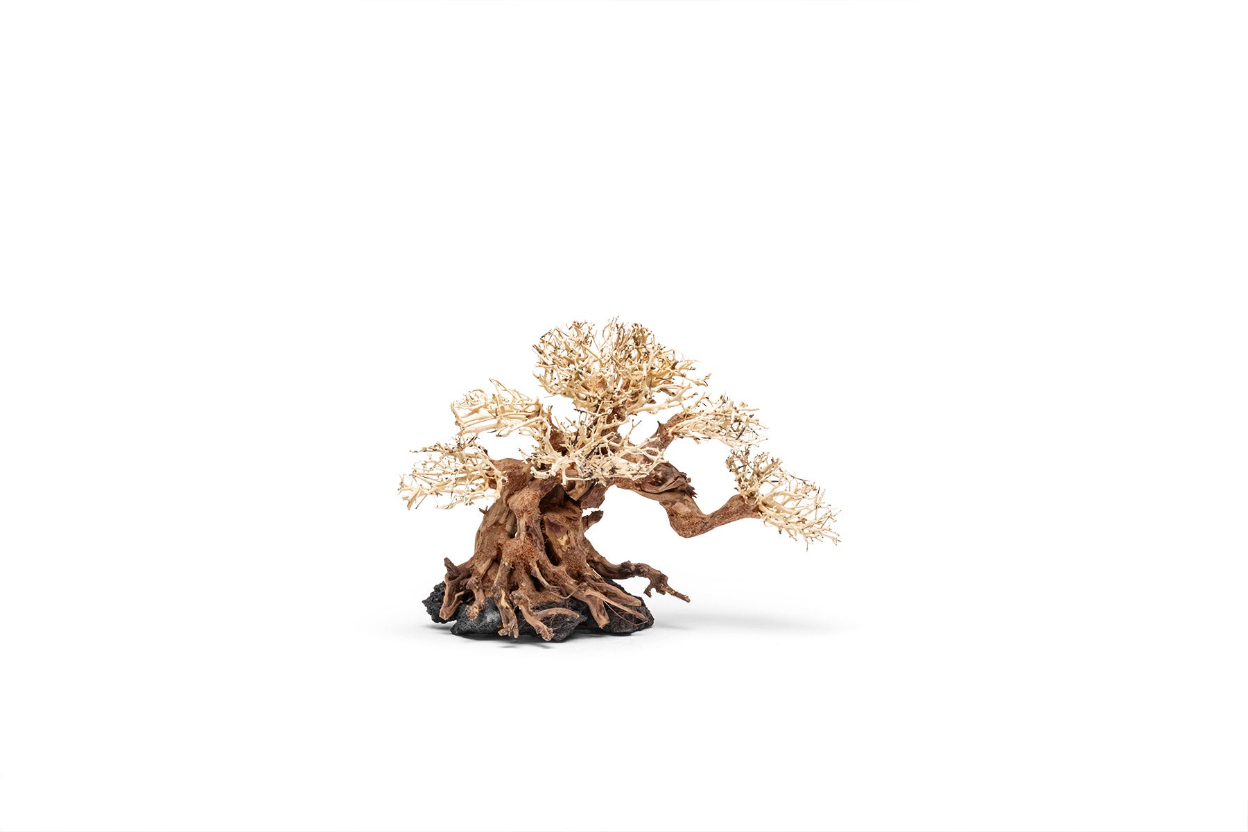 Ultum Nature Systems UNS Bonsai Tree Driftwood Aquarium Hardscape Wood 014