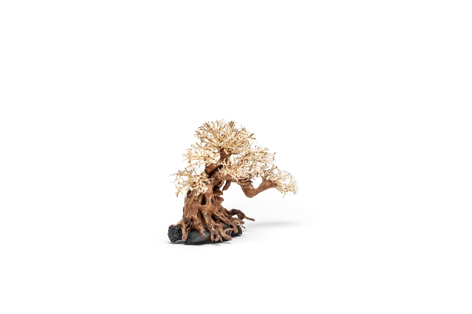 Ultum Nature Systems UNS Bonsai Tree Driftwood Aquarium Hardscape Wood 014