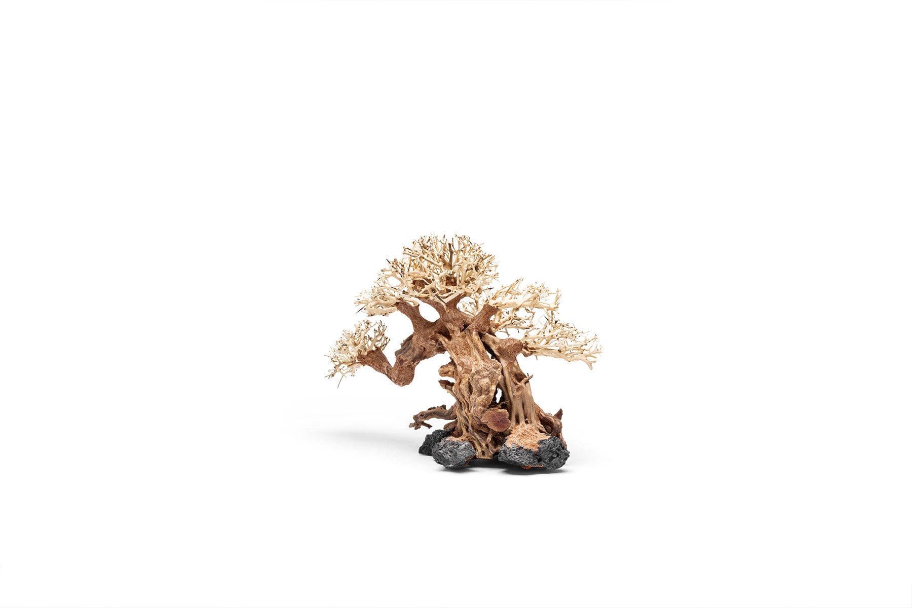 Ultum Nature Systems UNS Bonsai Tree Driftwood Aquarium Hardscape Wood 014