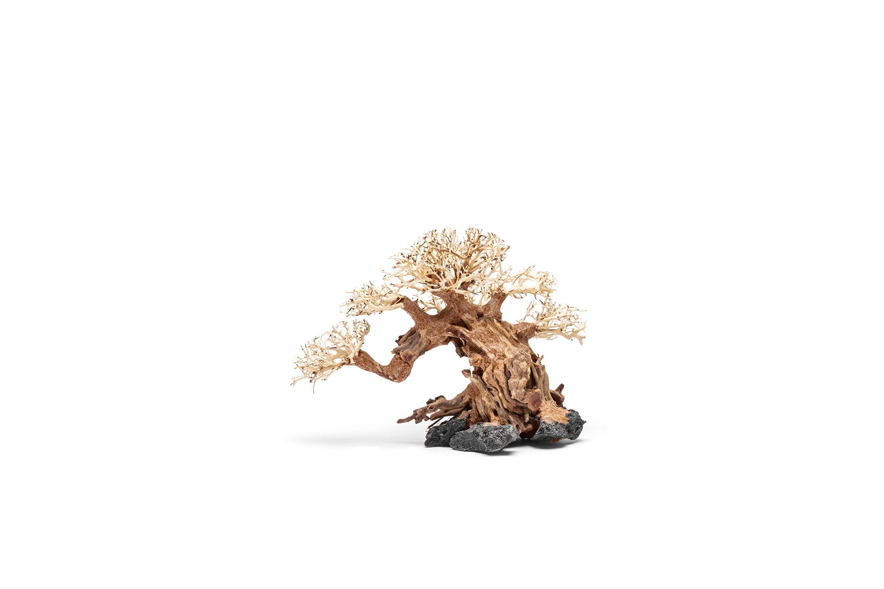 Ultum Nature Systems UNS Bonsai Tree Driftwood Aquarium Hardscape Wood 014