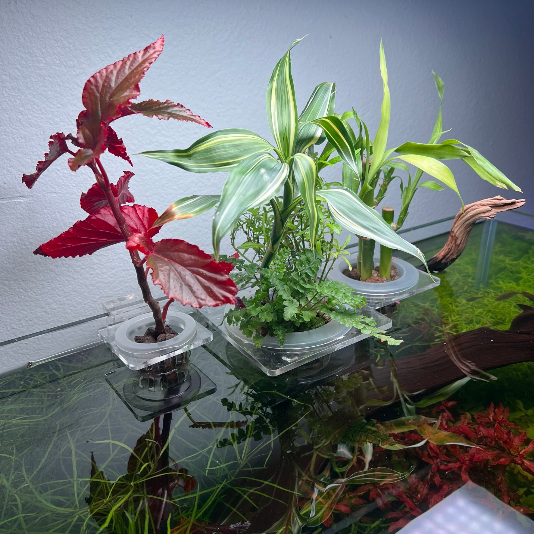Hydroponic Planter Pot - Medium - Glass Aqua