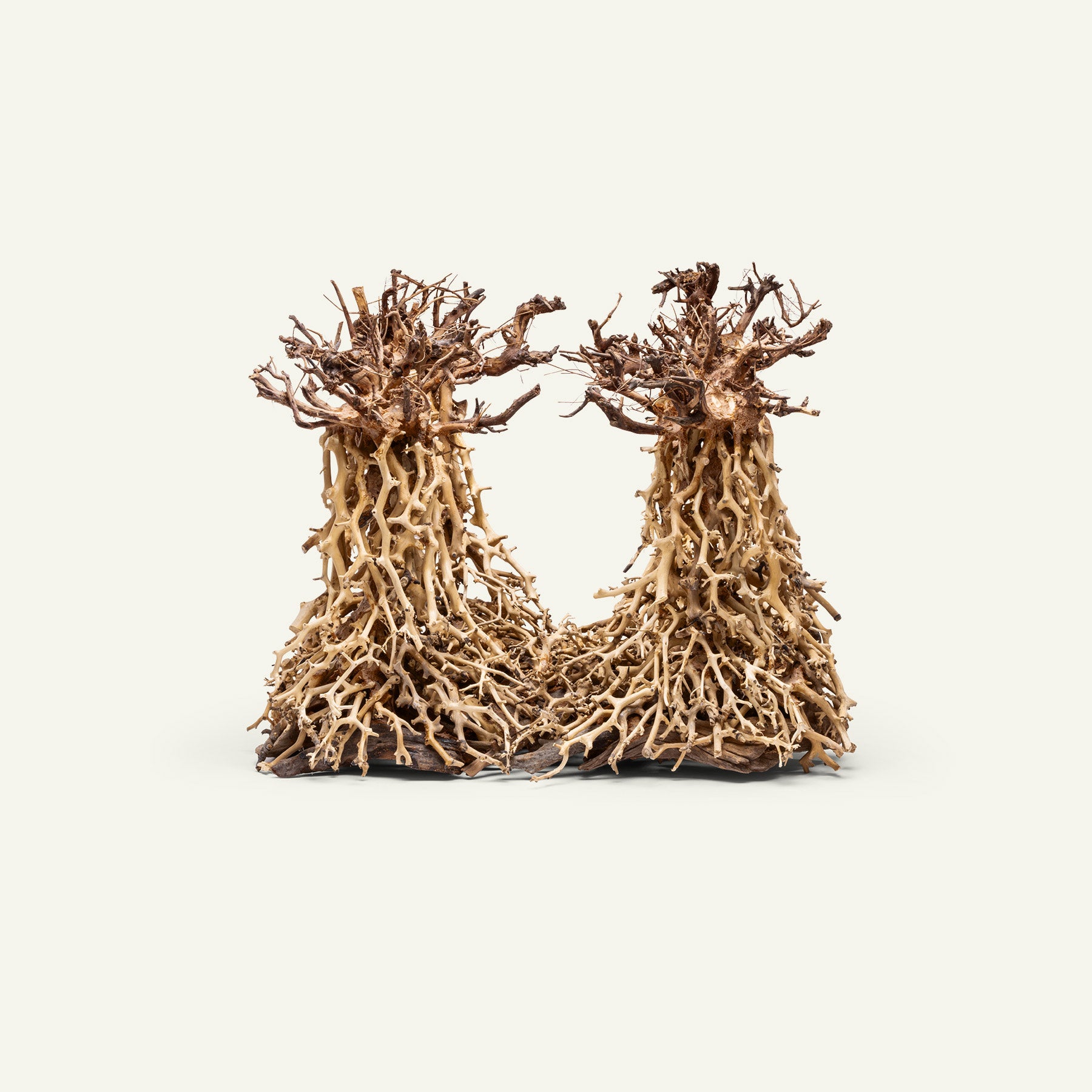 Ultum Nature Systems UNS Bonsai Tree Driftwood Aquarium Hardscape Wood 003