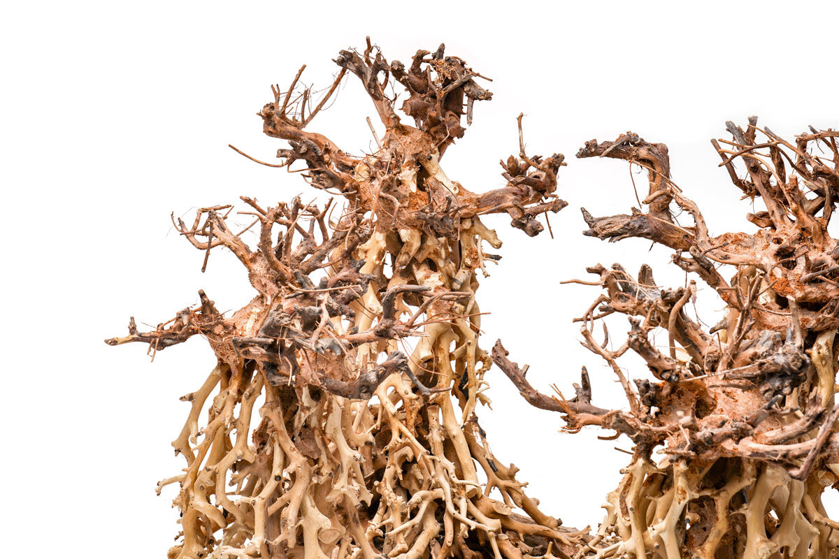 Ultum Nature Systems UNS Bonsai Tree Driftwood Aquarium Hardscape Wood 003
