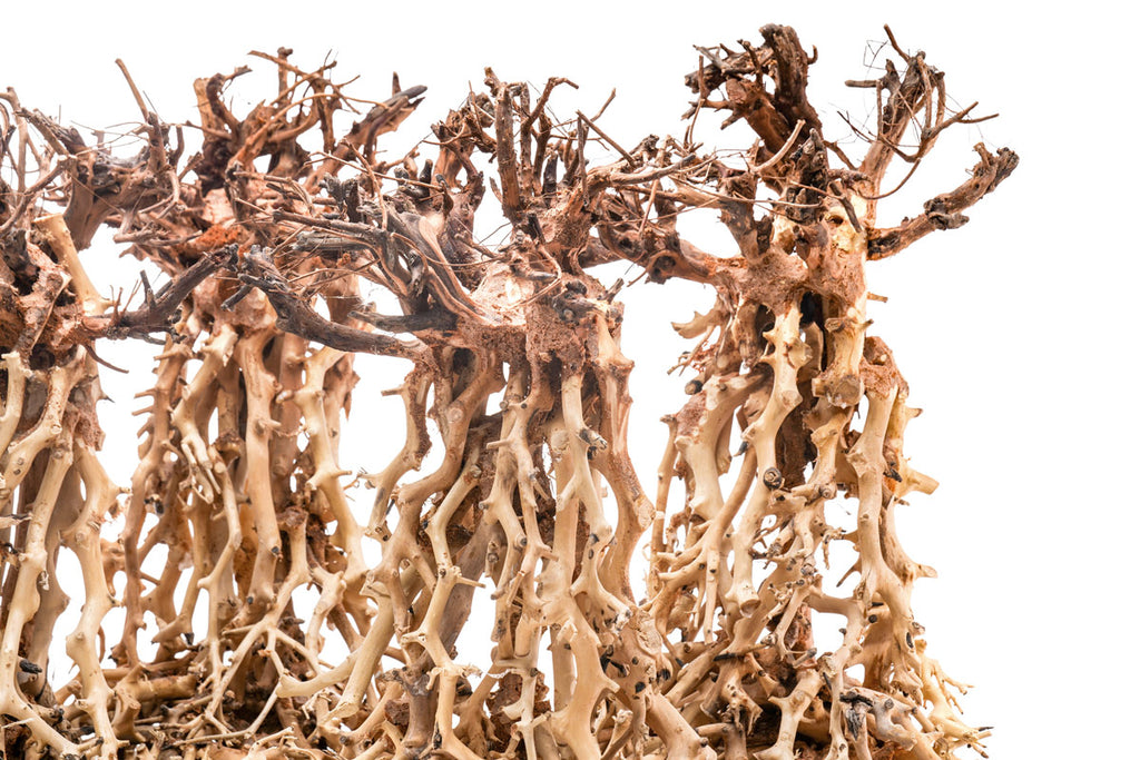 Ultum Nature Systems UNS Bonsai Tree Driftwood Aquarium Hardscape Wood 003