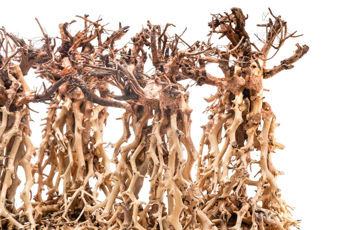Ultum Nature Systems UNS Bonsai Tree Driftwood Aquarium Hardscape Wood 003