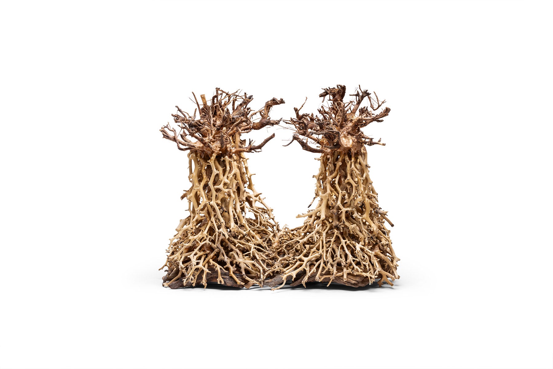 Ultum Nature Systems UNS Bonsai Tree Driftwood Aquarium Hardscape Wood 003