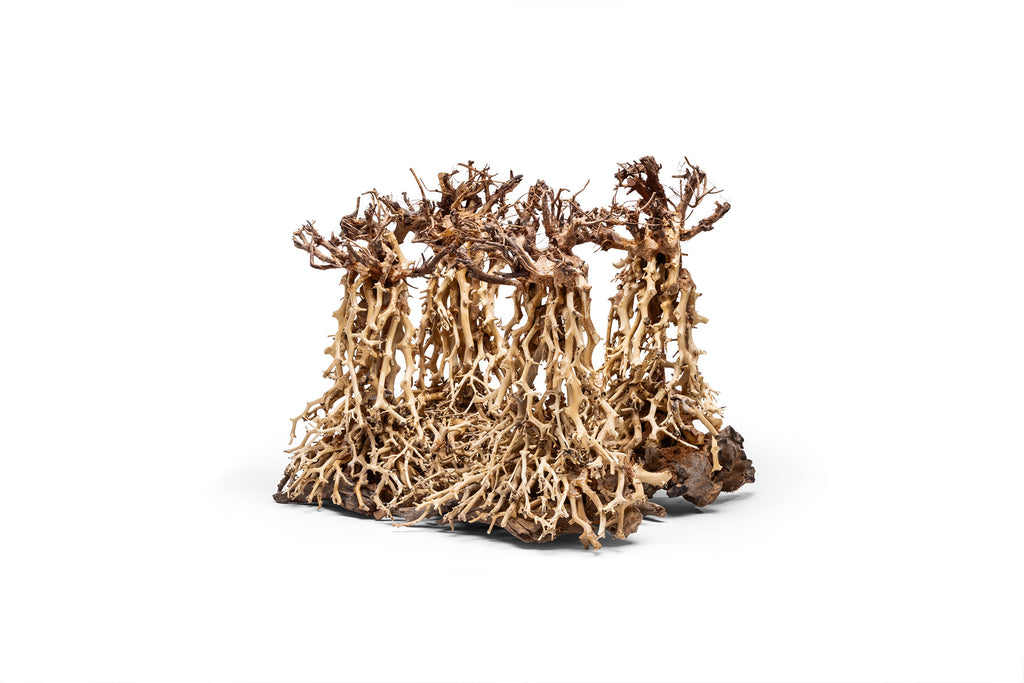 Ultum Nature Systems UNS Bonsai Tree Driftwood Aquarium Hardscape Wood 003