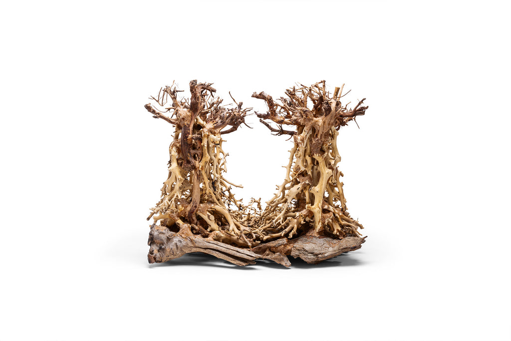 Ultum Nature Systems UNS Bonsai Tree Driftwood Aquarium Hardscape Wood 003