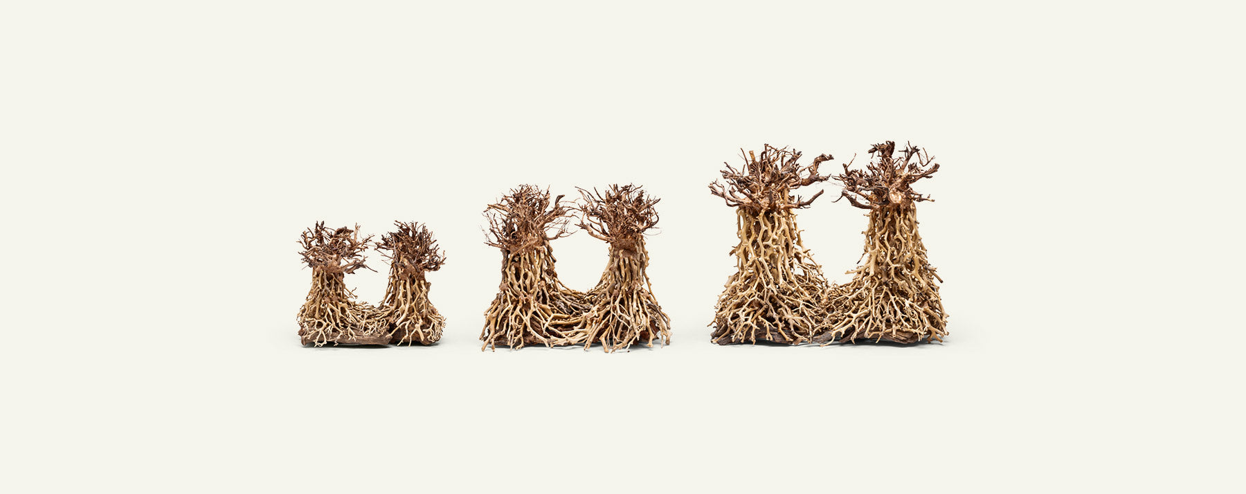 Ultum Nature Systems UNS Bonsai Tree Driftwood Aquarium Hardscape Wood 003