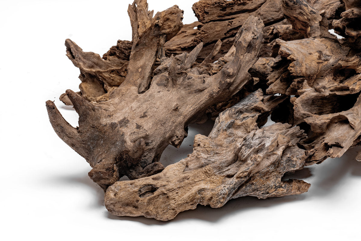 Shop Planted Aquarium Madra Driftwood Hardscape - Glass Aqua