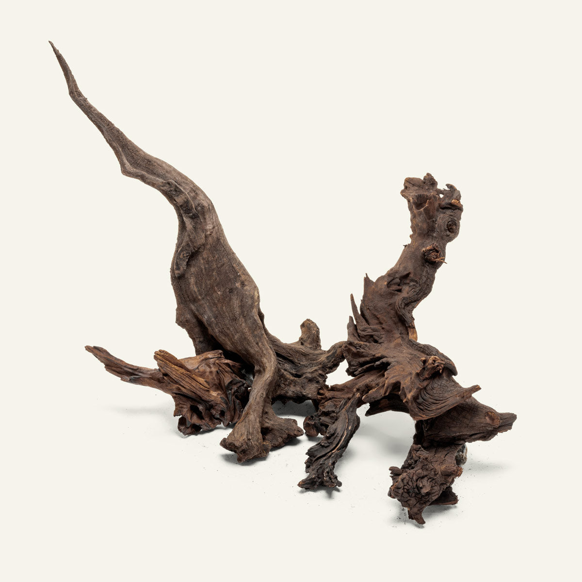 ハンドメイド ある水槽の風景  ヤドカリ刺繍 白木フレーム Malaysian Driftwood Hardscape - Planted Tanks | Glass Aqua
