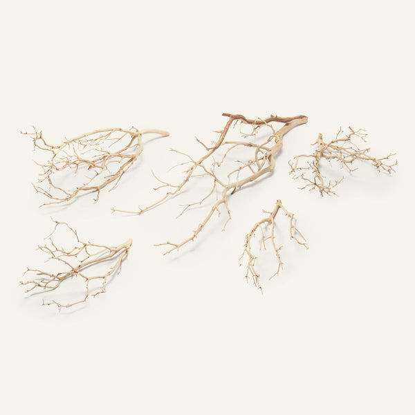 Sandblasted Manzanita Wood | Aquarium Driftwood - Glass Aqua