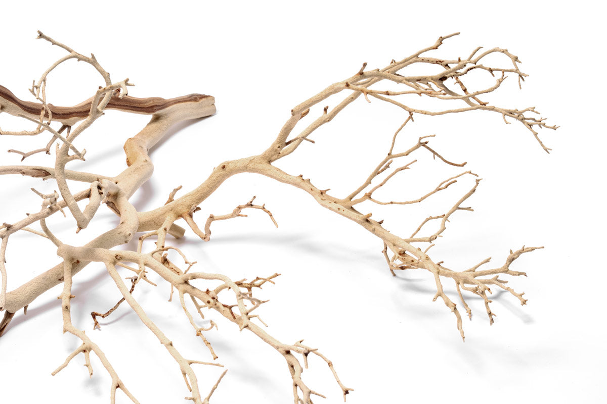 Sandblasted Manzanita Wood | Aquarium Driftwood - Glass Aqua