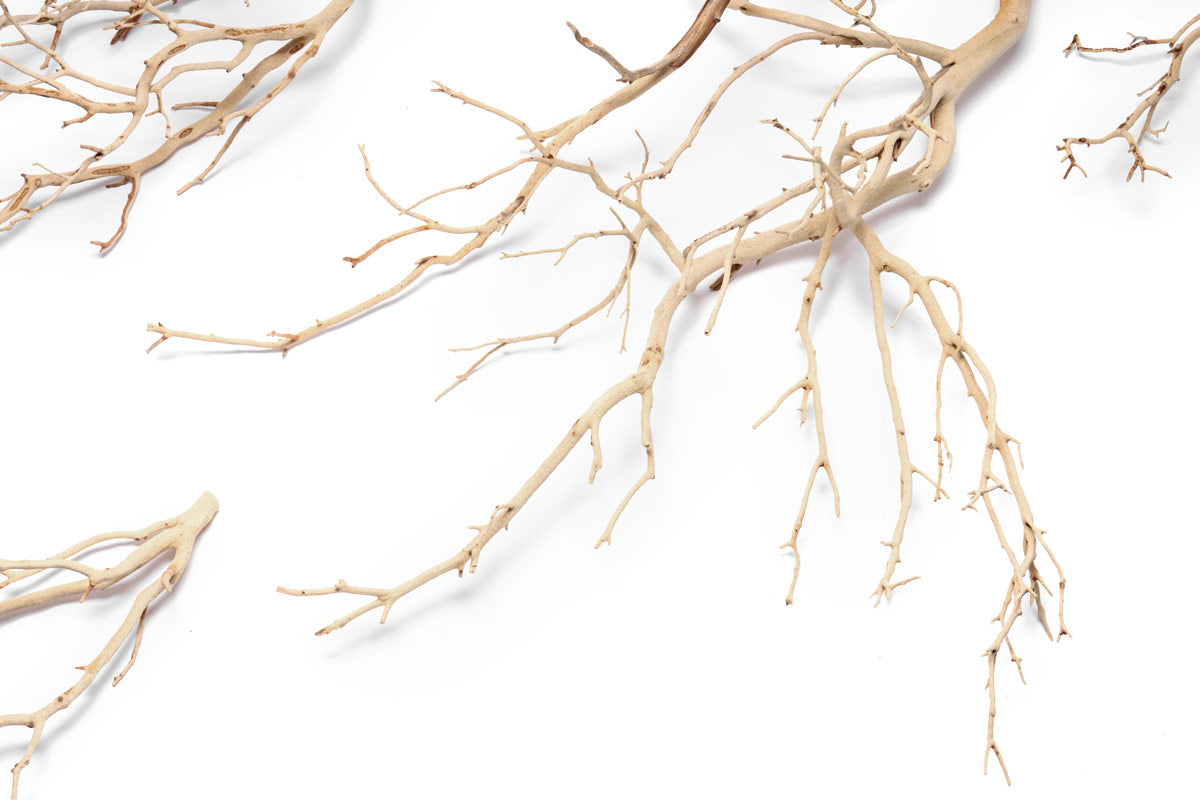 Sandblasted Manzanita Wood | Aquarium Driftwood - Glass Aqua