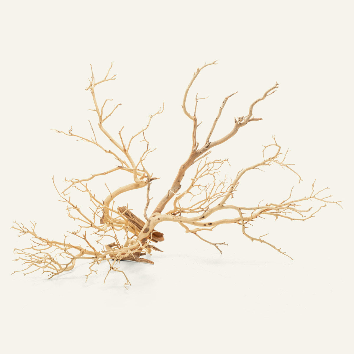 Sandblasted Manzanita Wood | Aquarium Driftwood - Glass Aqua