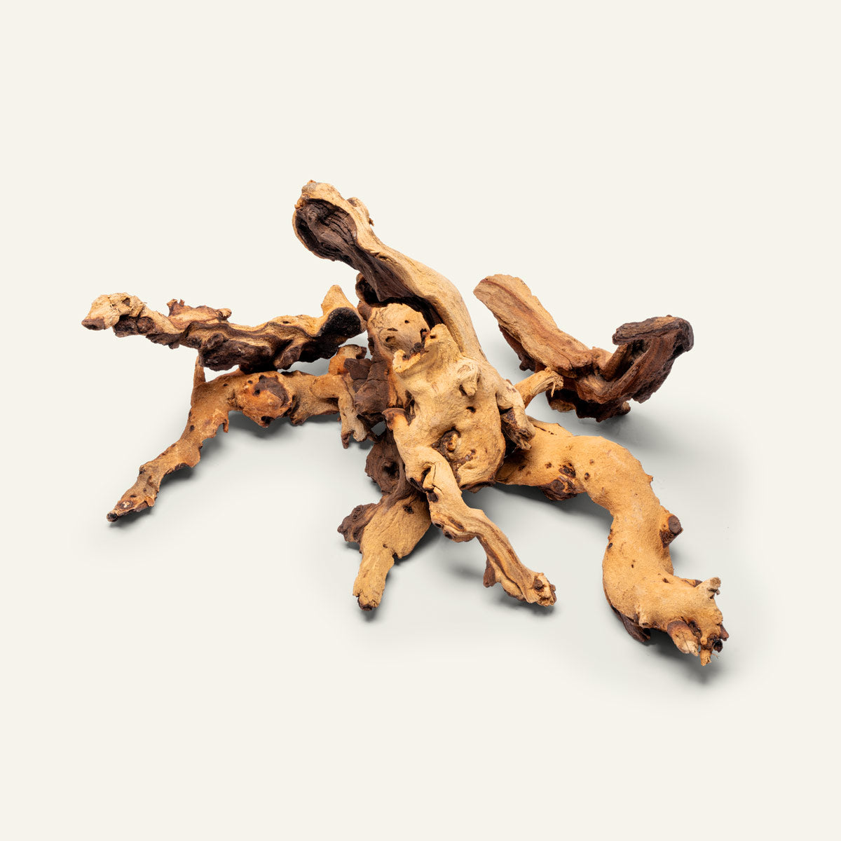 Mopani Aquarium Terrarium Reptile Driftwood Wood Decor
