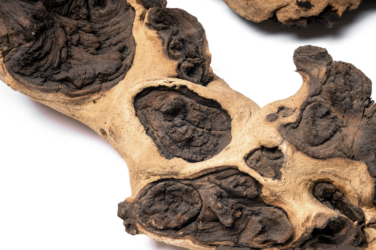 Mopani Aquarium Terrarium Reptile Driftwood Wood Decor