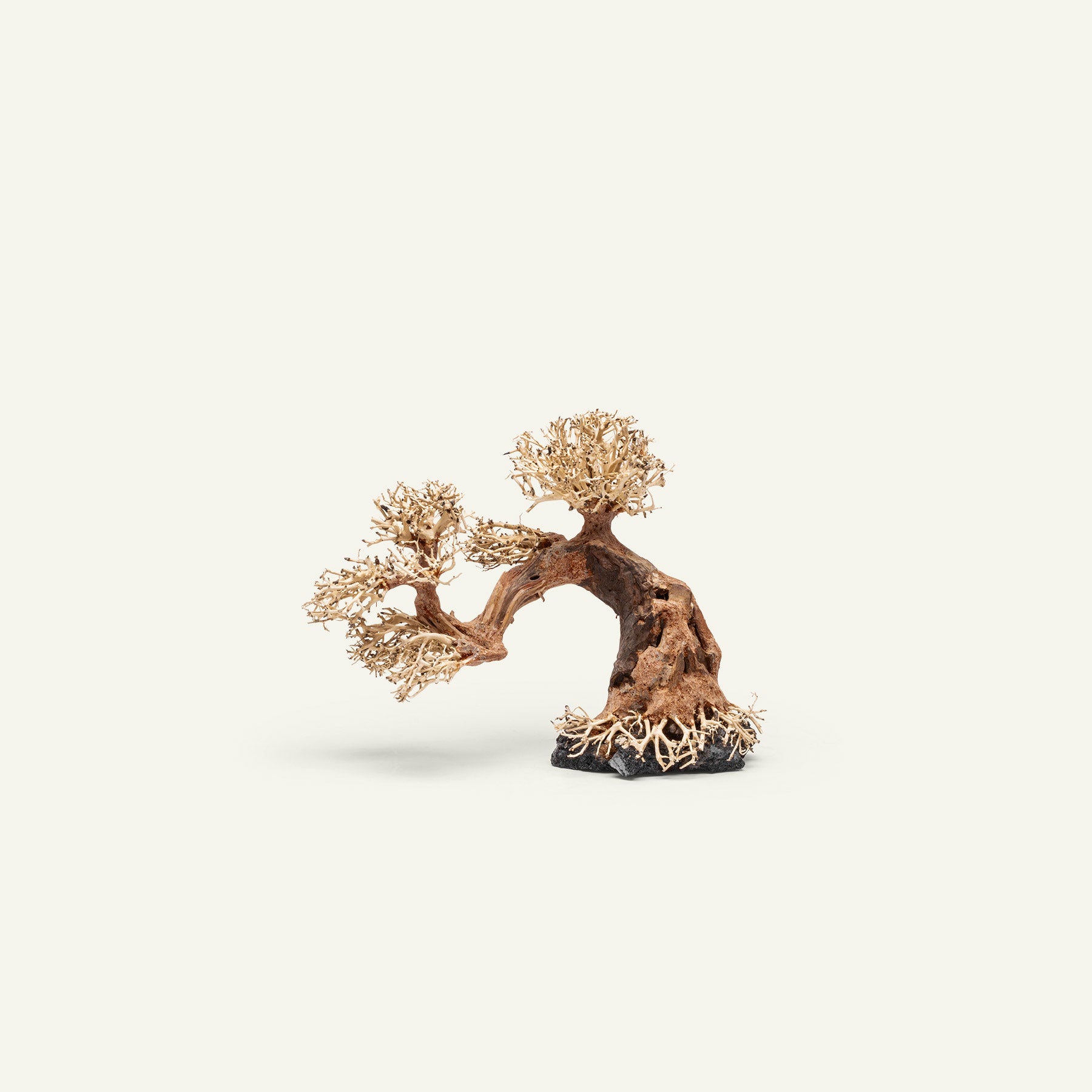 Ultum Nature Systems UNS Bonsai Tree Driftwood Aquarium Hardscape Wood 006