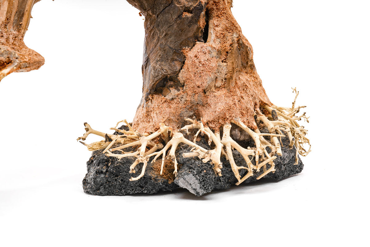 Ultum Nature Systems UNS Bonsai Tree Driftwood Aquarium Hardscape Wood 006