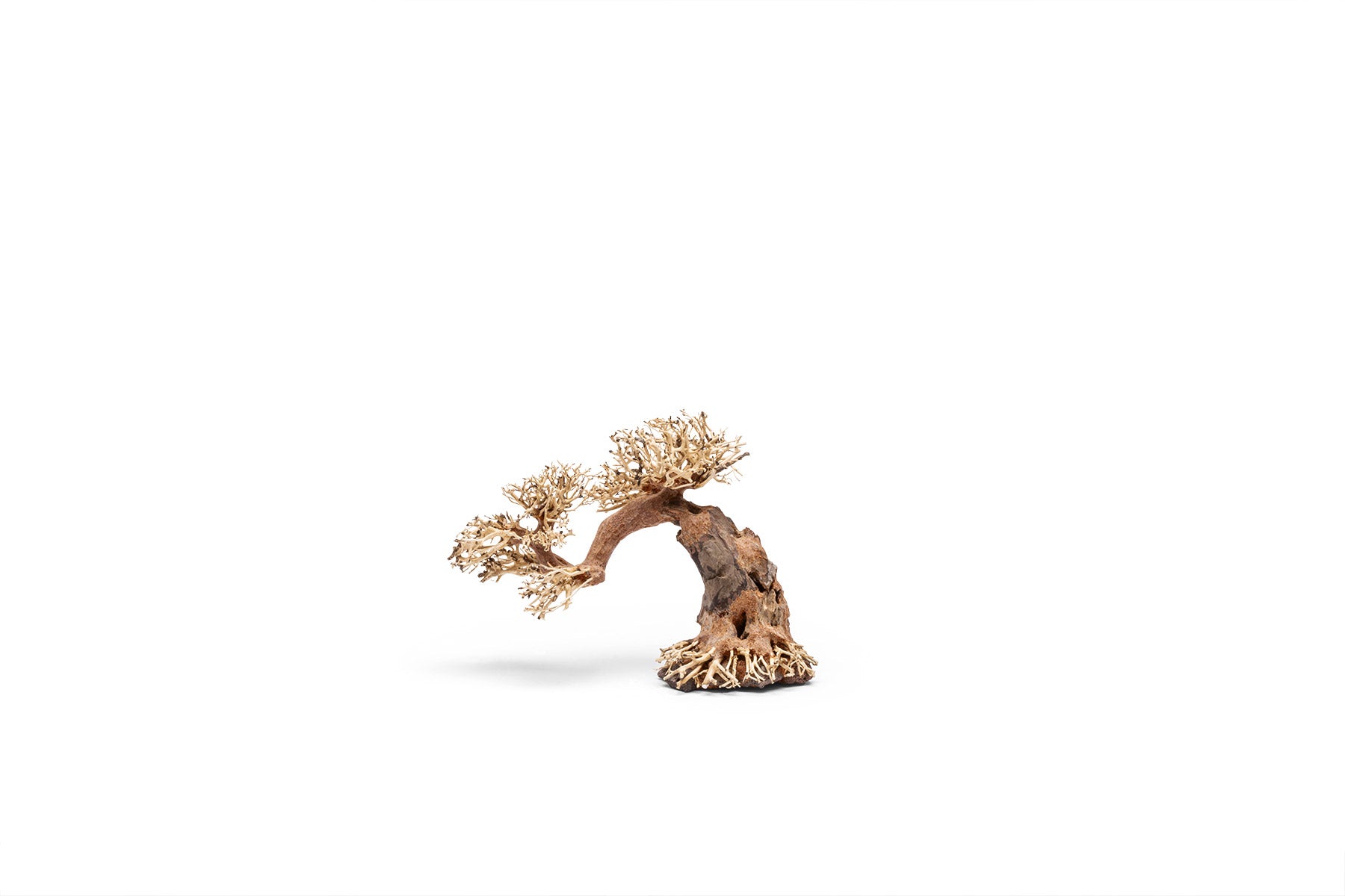 Ultum Nature Systems UNS Bonsai Tree Driftwood Aquarium Hardscape Wood 006