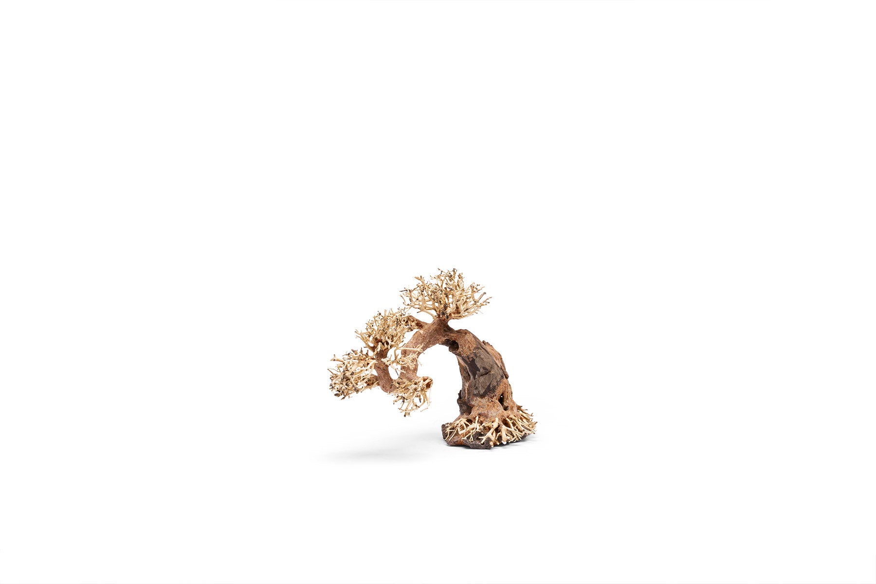 Ultum Nature Systems UNS Bonsai Tree Driftwood Aquarium Hardscape Wood 006