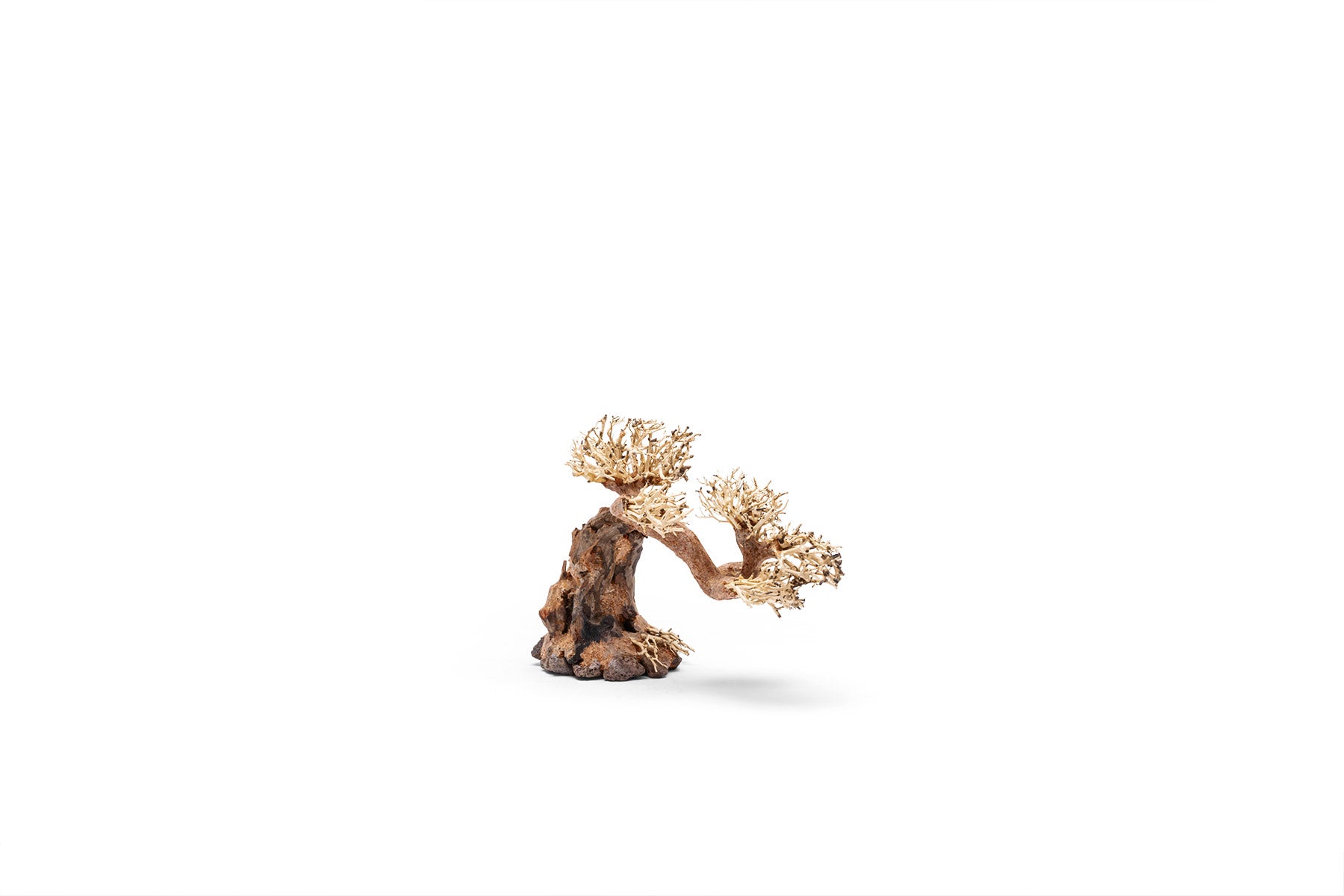 Ultum Nature Systems UNS Bonsai Tree Driftwood Aquarium Hardscape Wood 006
