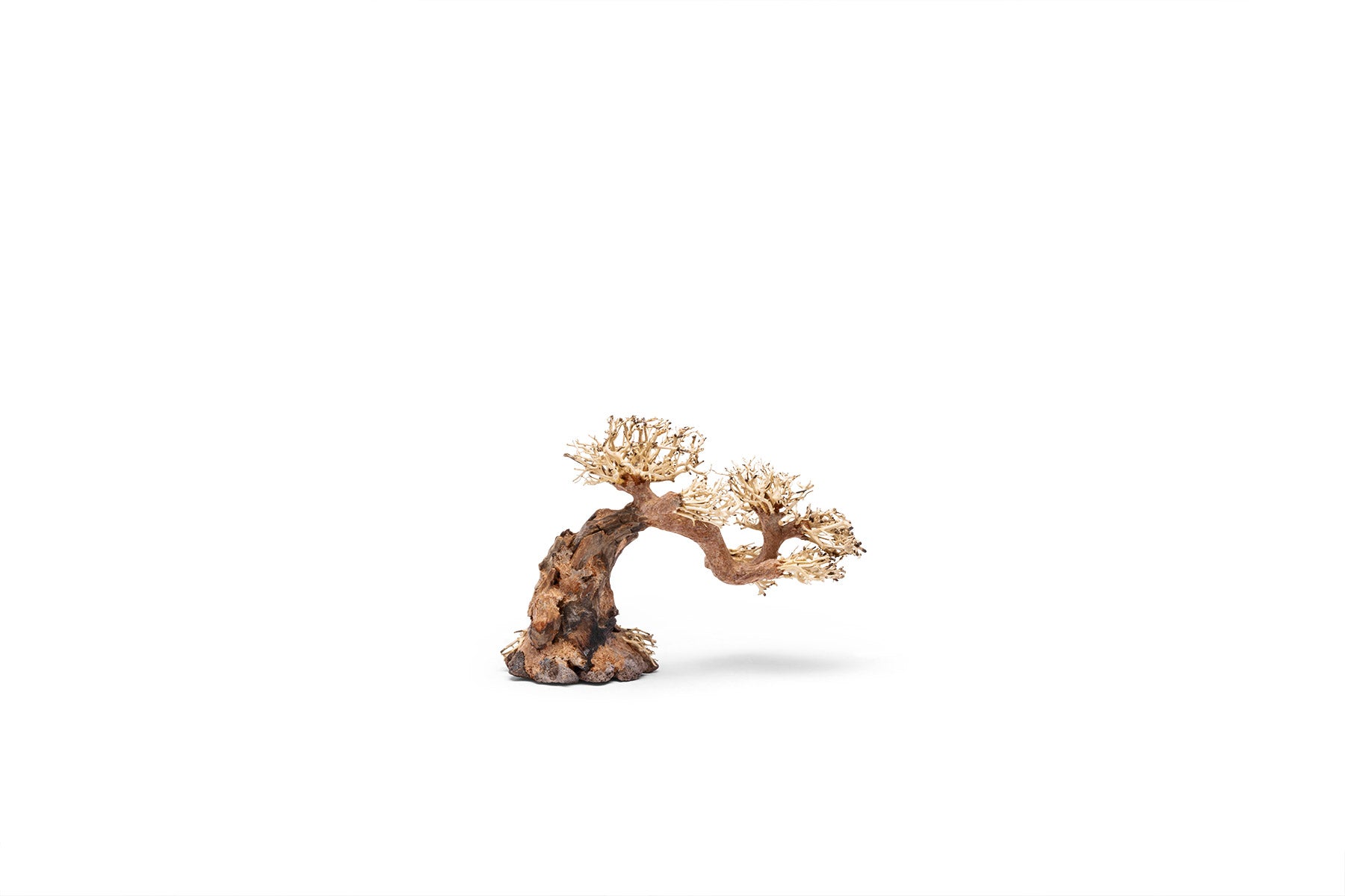 Ultum Nature Systems UNS Bonsai Tree Driftwood Aquarium Hardscape Wood 006