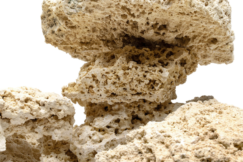 Close-up photo of natural reef shelf rock showing color and rock texture