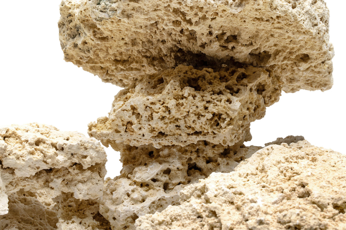 Close-up photo of natural reef shelf rock showing color and rock texture