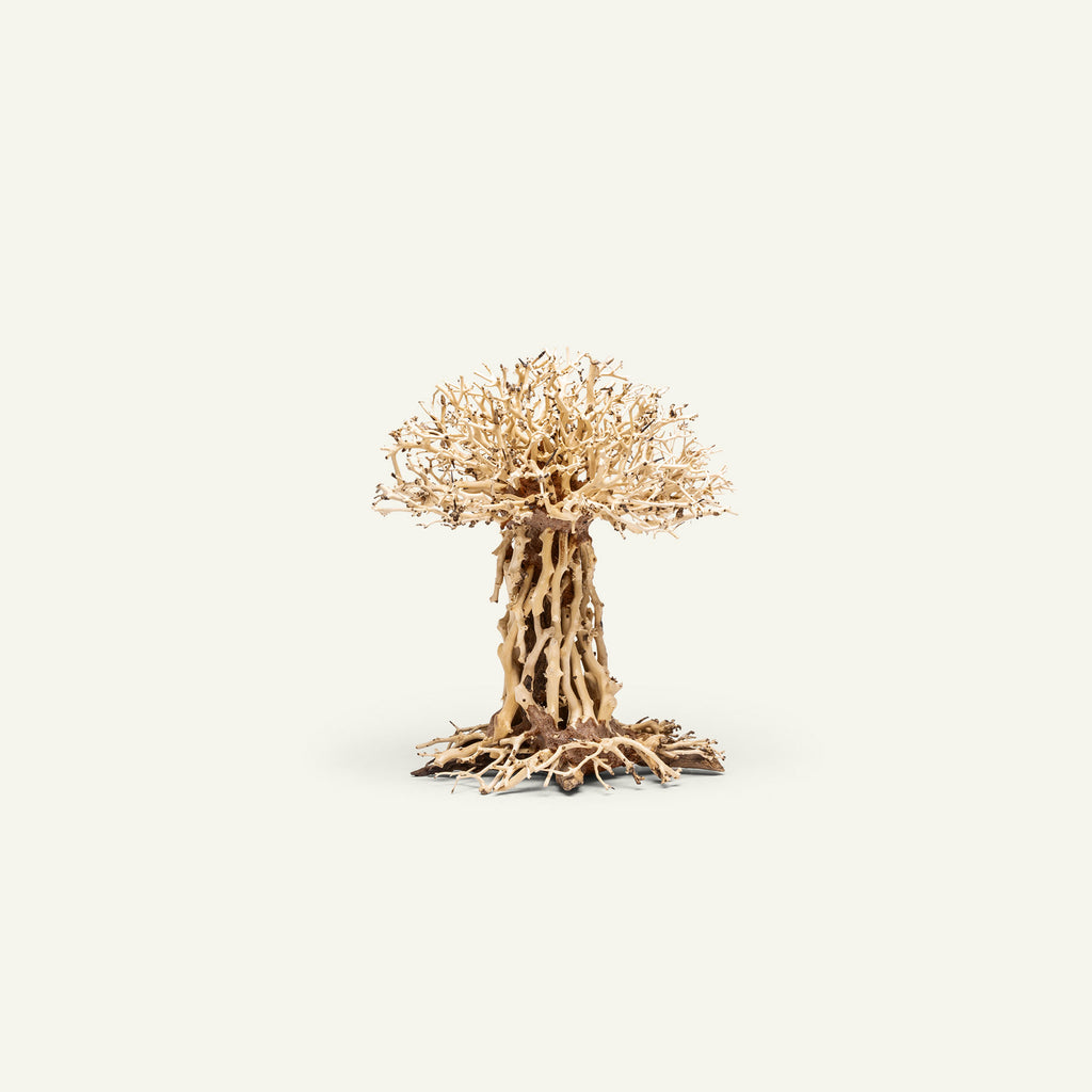 Ultum Nature Systems UNS Bonsai Tree Driftwood Aquarium Hardscape Wood 007